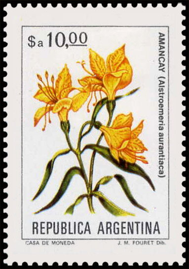 Amancay (Alstroemeria aurantiaca)