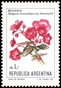 Stamp, Begonia (Begonia micranthera), Argentina,  , Flowers, Plants (Flora)