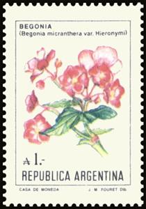 Stamp, Begonia (Begonia micranthera), Argentina,  , Flowers, Plants (Flora)