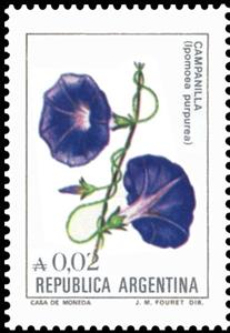 Stamp, Campanilla (Ipomoea purpurea), Argentina,  , Flowers, Plants (Flora)