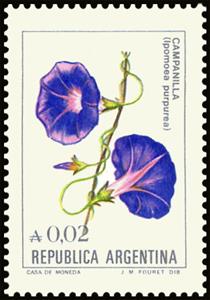 Stamp, Campanilla (Ipomoea purpurea), Argentina,  , Flowers, Plants (Flora)
