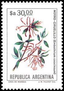 Stamp, Ciruelillo (Embothrium coccineum), Argentina,  , Flowers, Plants (Flora)