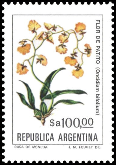 Ciruelillo (Embothrium coccineum)