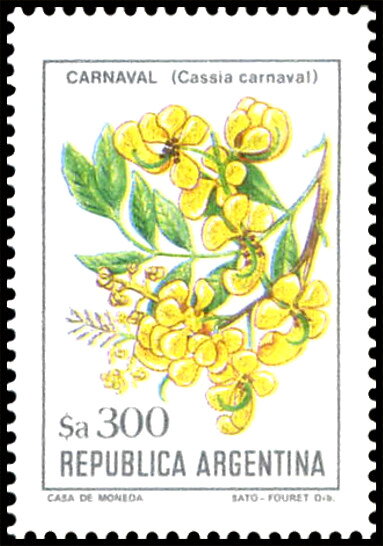 Ciruelillo (Embothrium coccineum)