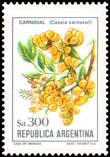 Ciruelillo (Embothrium coccineum)
