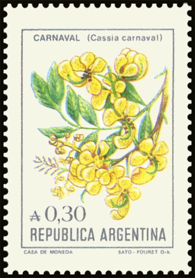 Flor de Carnaval (Cassia carnaval)