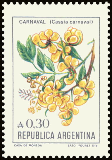 Flor de Carnaval (Cassia carnaval)