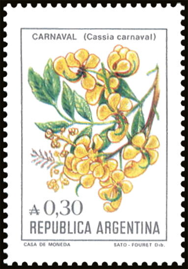 Flor de Carnaval (Cassia carnaval)
