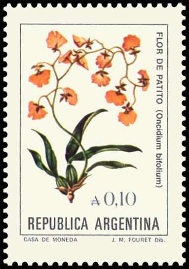 Flor de Patito (Oncidium bifolium)