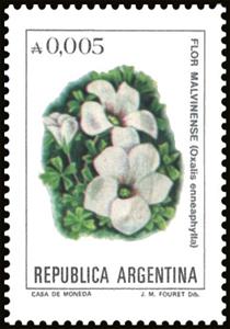 Stamp, Flor Malvinense (Oxalis enneaphylla), Argentina,  , Flowers, Plants (Flora)