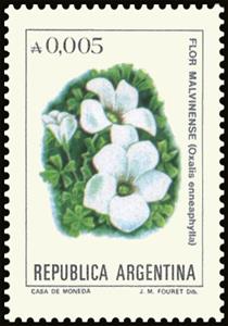 Stamp, Flor Malvinense (Oxalis enneaphylla), Argentina,  , Flowers, Plants (Flora)