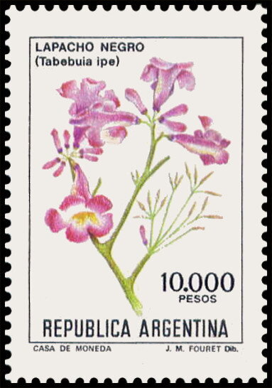 Lapacho Negro (Tabebuia ipe)