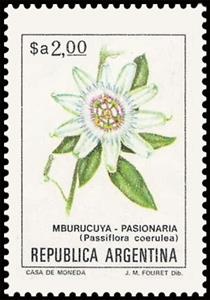 Stamp, Mburucuyá (Passiflora coerulea), Argentina,  , Flowers, Plants (Flora)