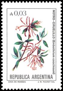 Stamp, Notro Ciruelillo (Embothrium coccineum), Argentina,  , Flowers, Plants (Flora)