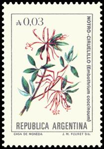 Stamp, Notro Ciruelillo (Embothrium coccineum), Argentina,  , Flowers, Plants (Flora)