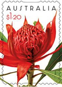 Stamp, Red Waratah, Australia,  , Flowers, Plants (Flora)