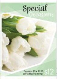 White Tulips