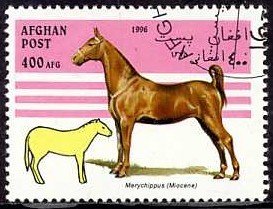 Stamp, Horse (Equus ferus caballus), Merychippus (Miozän), Afghanistan,  , Horses