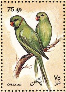 Stamp, Rose-ringed Parakeet (Psittacula krameri), Afghanistan,  , Birds, Animals (Fauna)