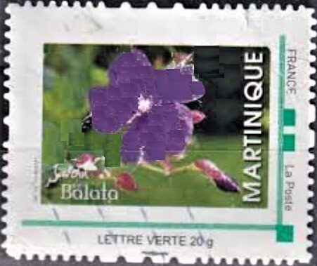 Balata Garden Martinique