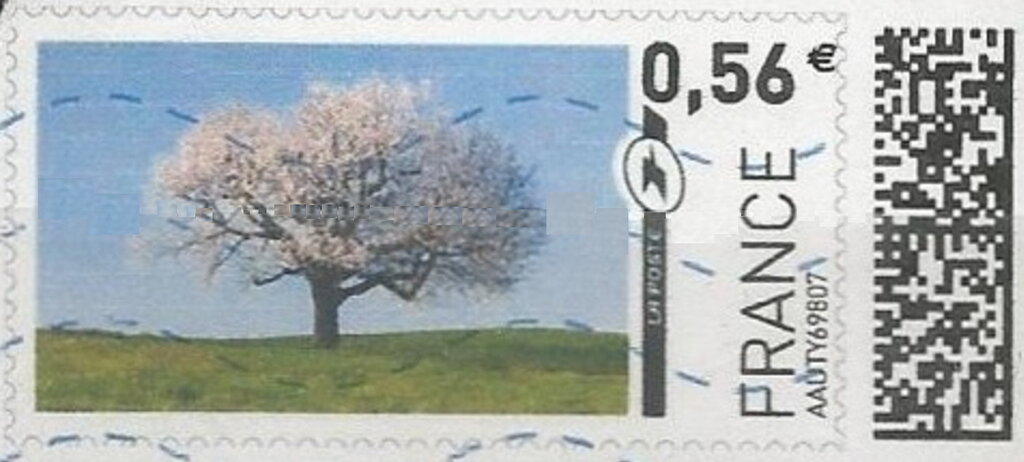 Cherry Tree