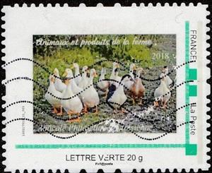 Stamp, Farm Animals and Products. Aytressienne Stamp Club, France,  , Animals (Fauna), Birds, Clubs of Stamp Collectors, Ducks