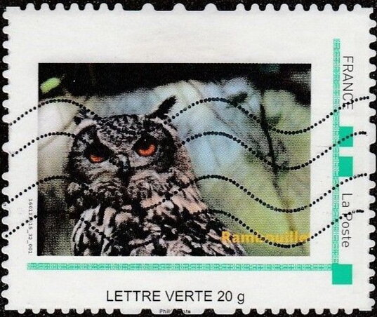 Rambouillet - Owl