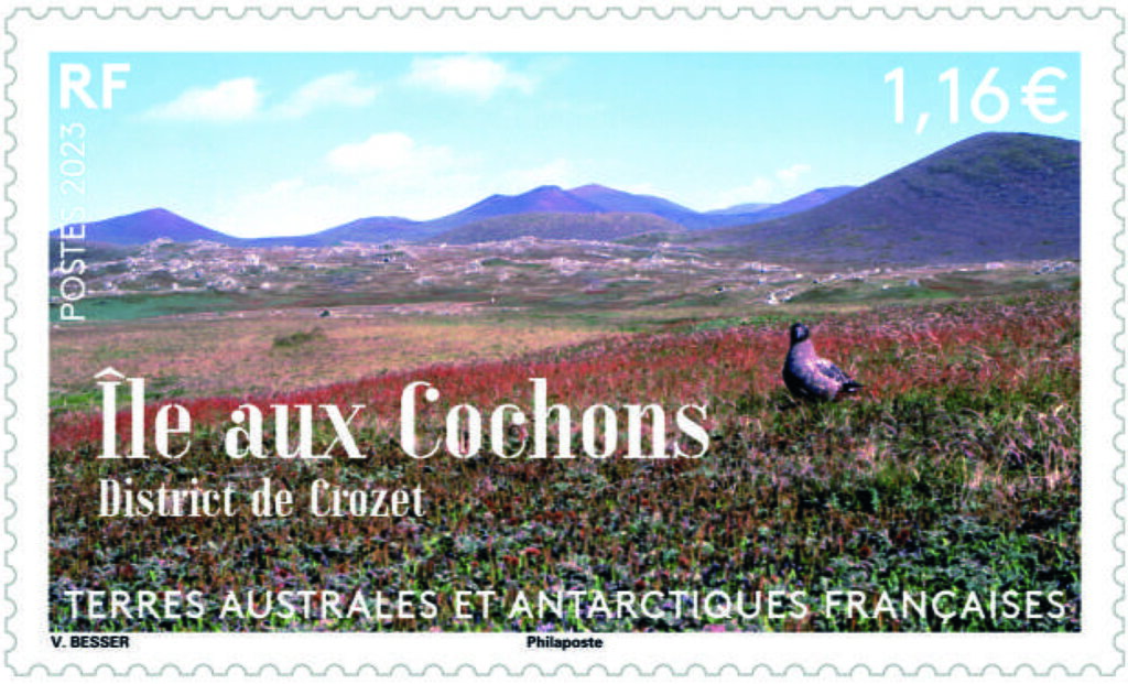 Île aux Cochons, Crozet