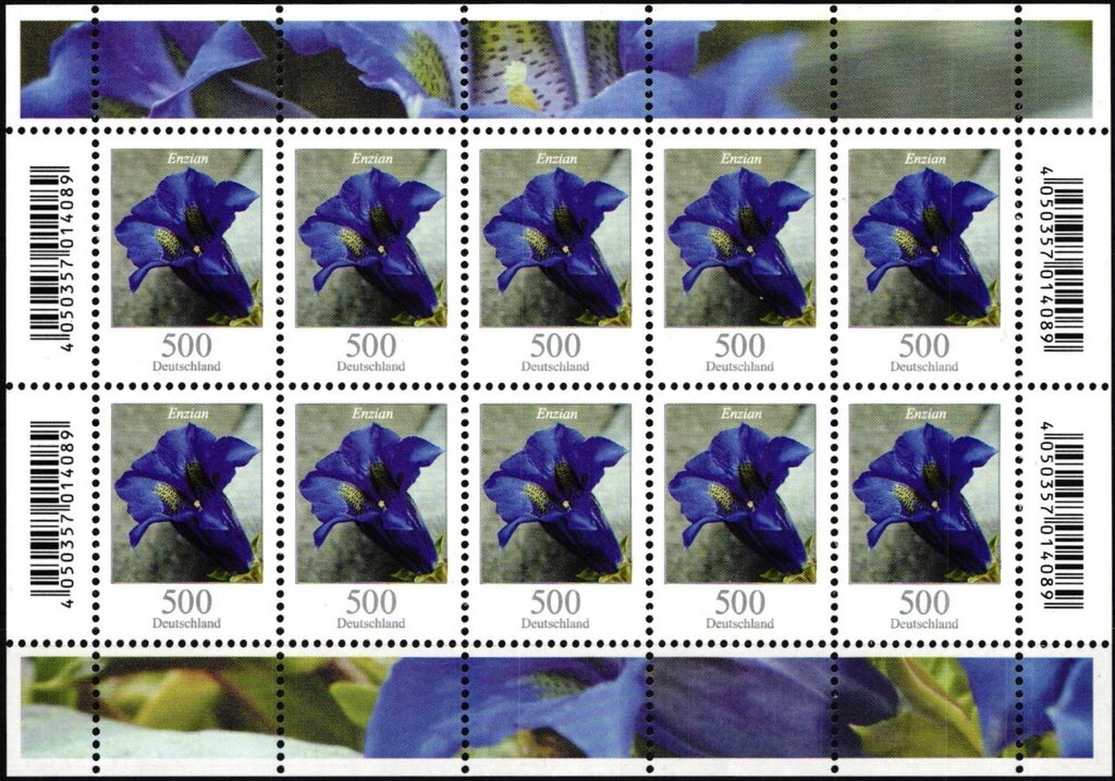 Flowers - Gentian without stalk (Gentiana acaulis)