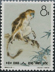 Golden Snub-nosed Monkey (Rhinopithecus roxellana)
