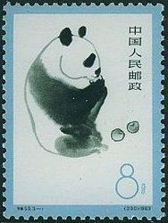 Giant Panda (Ailuropoda melanoleuca)