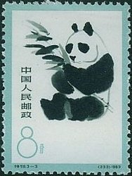 Giant Panda (Ailuropoda melanoleuca)