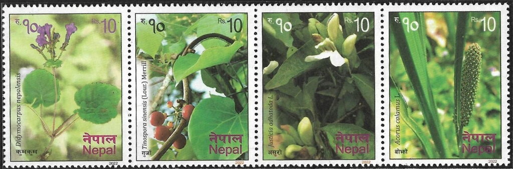 Medicinal Plants of Nepal