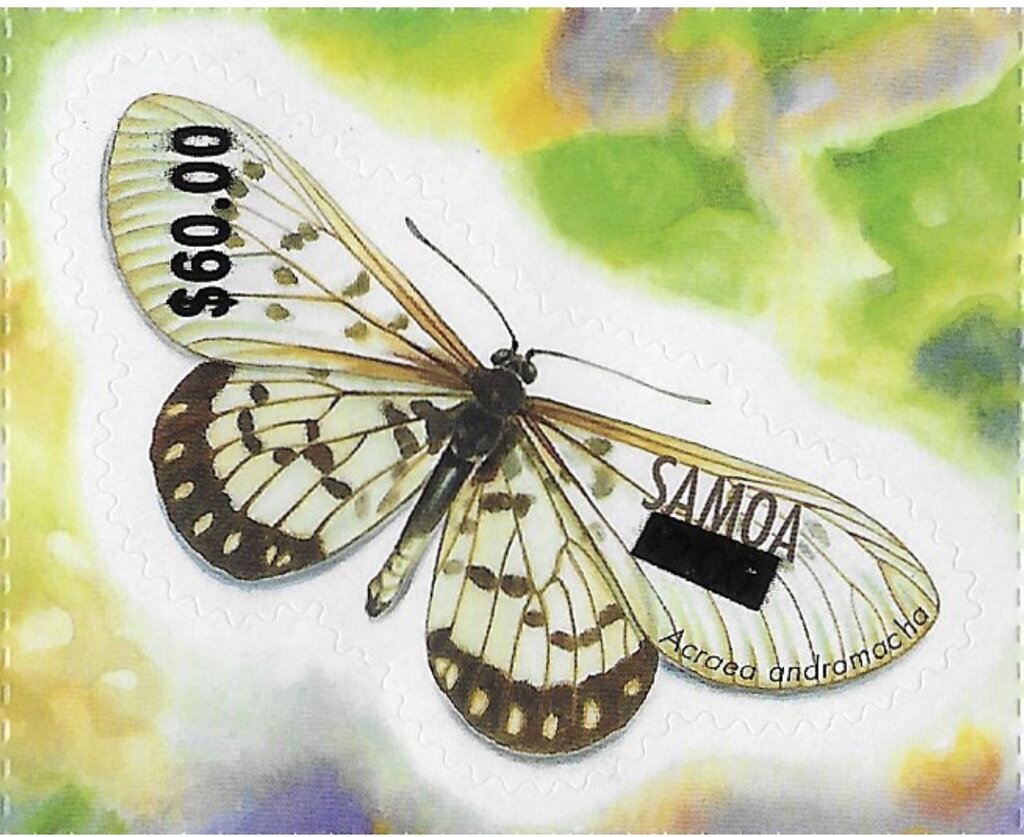 Small Greasy (Acraea andromacha) Surcharged
