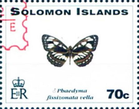 Butterfly (Phaedyma fissizonata vella) - Red Overprint