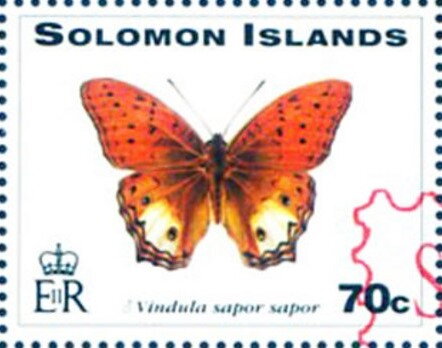 Cruiser Butterfly (Vindula sapor sapor) - Red Overprint