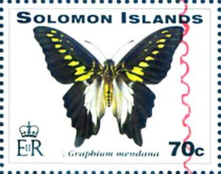 Swallowtail Butterfly (Graphium mendana) - Red Overprint