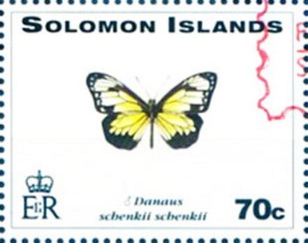 Tiger Butterfly (Danaus schenkii schenkii) - Red Overprint