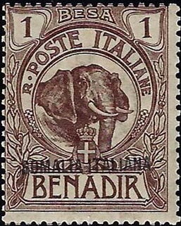 African Elephant (Loxodonta africana)