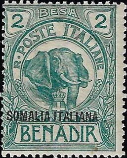 African Elephant (Loxodonta africana)