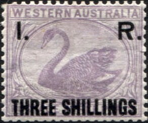 Stamp, Black Swan (Cygnus atratus), Western Australia,  , Animals (Fauna), Birds, Swans
