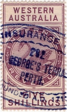 Stamp, Black Swan (Cygnus atratus), Western Australia,  , Animals (Fauna), Birds, Swans