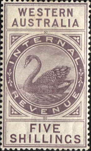 Stamp, Black Swan (Cygnus atratus), Western Australia,  , Animals (Fauna), Birds, Swans