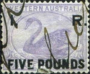Stamp, Black Swan (Cygnus atratus), Western Australia,  , Animals (Fauna), Birds, Swans