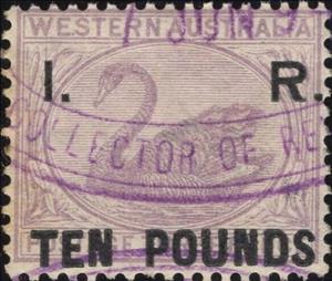 Stamp, Black Swan (Cygnus atratus), Western Australia,  , Animals (Fauna), Birds, Swans