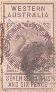 Stamp, Black Swan (Cygnus atratus), Western Australia,  , Animals (Fauna), Birds, Swans