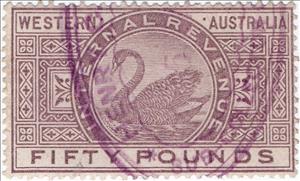 Stamp, Black Swan (Cygnus atratus), Western Australia,  , Animals (Fauna), Birds, Swans