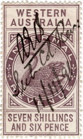 Stamp, Black Swan (Cygnus atratus), Western Australia,  , Animals (Fauna), Birds, Swans