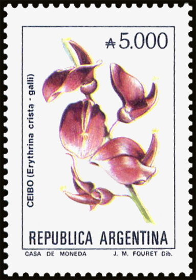Ceibo (Erythrina crista-galli)