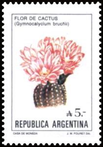 Stamp, Flor de Cactus (Gymnocalycium bruchii), Argentina,  , Cacti, Flowers, Plants (Flora)
